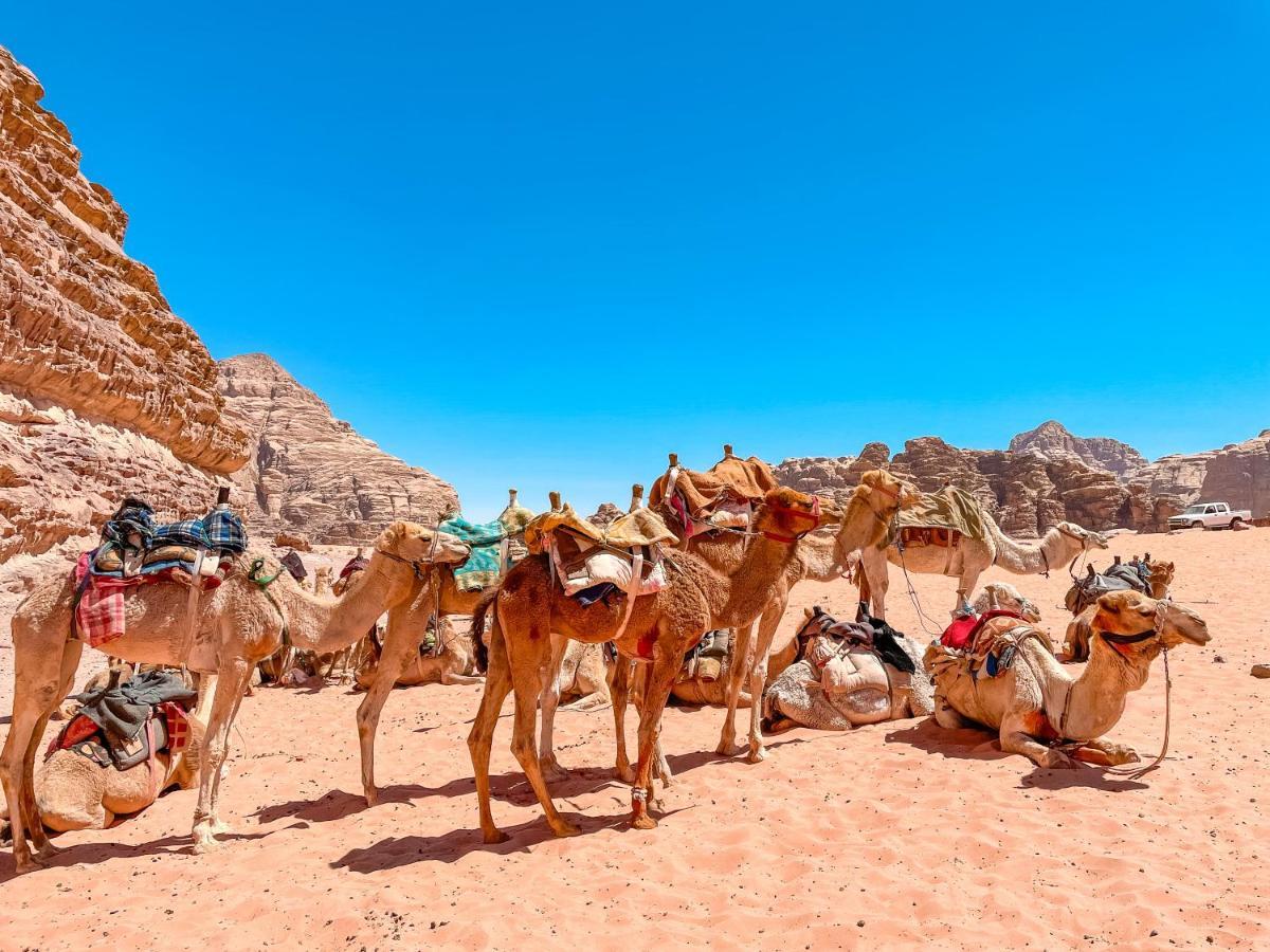 Hotel Rum Jordan Camp And Tours Wadi Rum Exterior foto